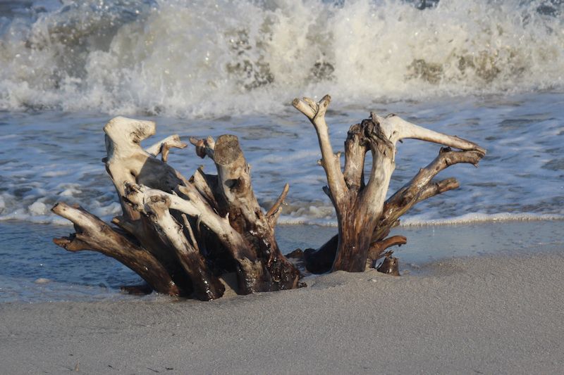 Am Strand von Gura Portitie