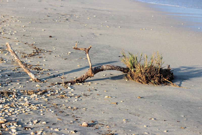 Am Strand von Gura Portitie