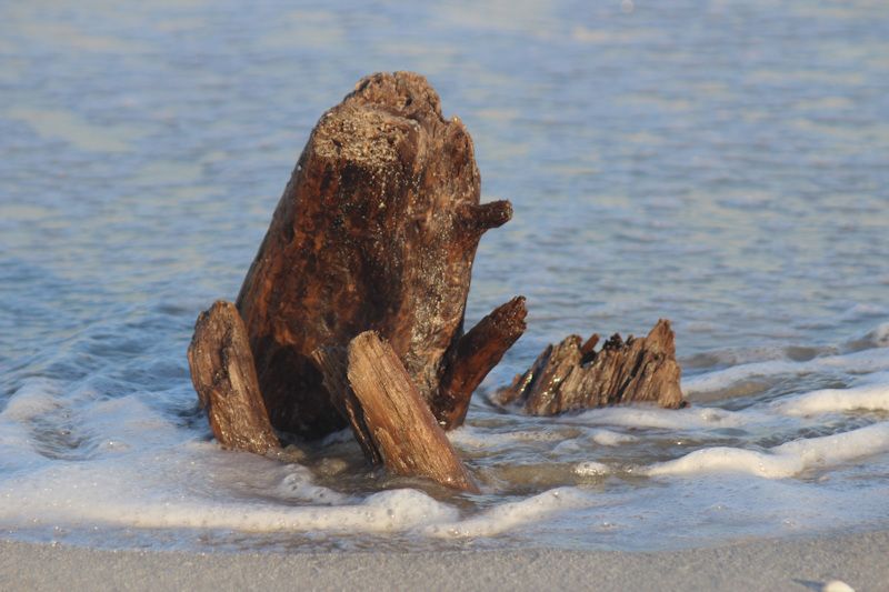 Am Strand von Gura Portitie