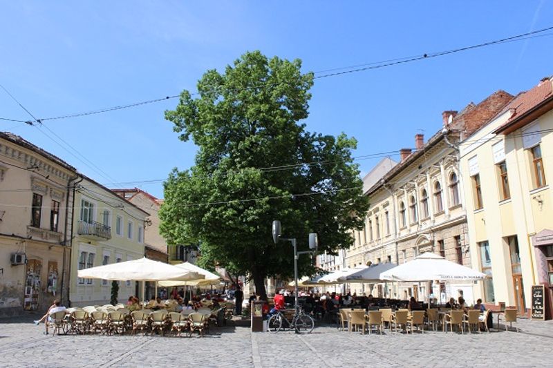 Im Zentrium vom Cluj Napoca (Klausenburg) 