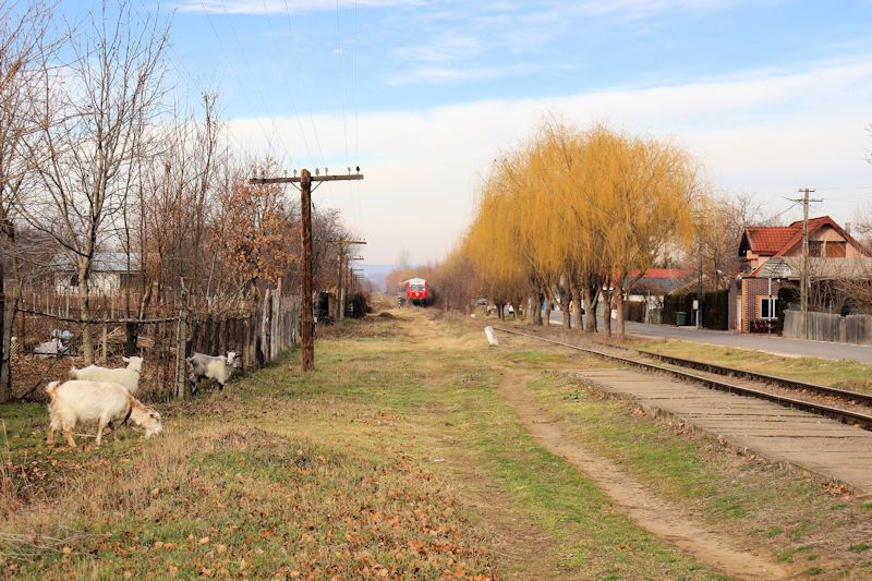 Einfahrt des Triebwagens der TFC aus Richtung Bârlad in Fârțănești 