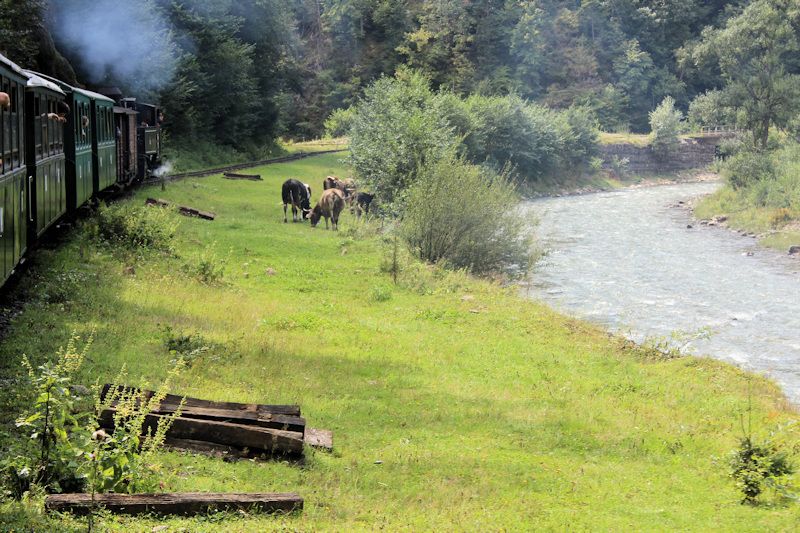 Fahrt mit der Wassertalbahn (Mocănița)