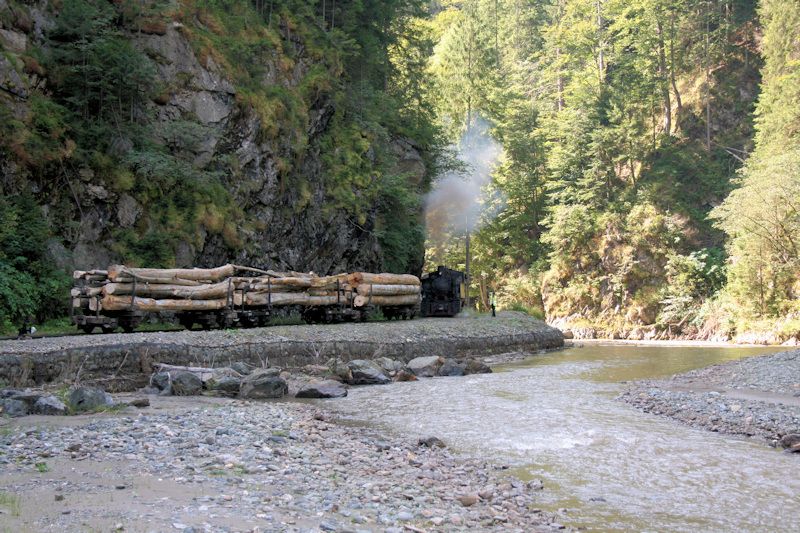 Die Wassertalbahn (Mocănița) in Fahrt