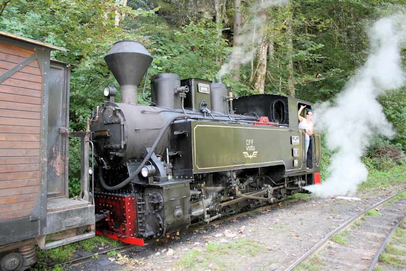 Die Wassertalbahn (Mocănița) am Rastplatz 