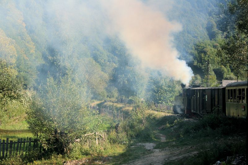 Die Wassertalbahn (Mocănița) in Fahrt