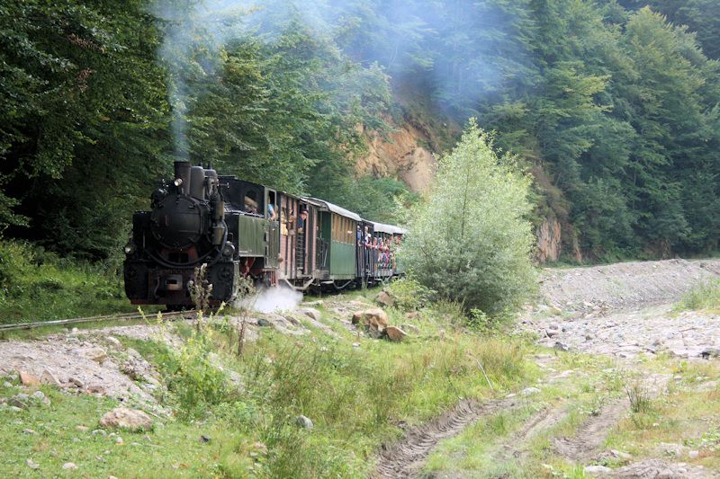 Die Wassertalbahn (Mocănița) in Fahrt